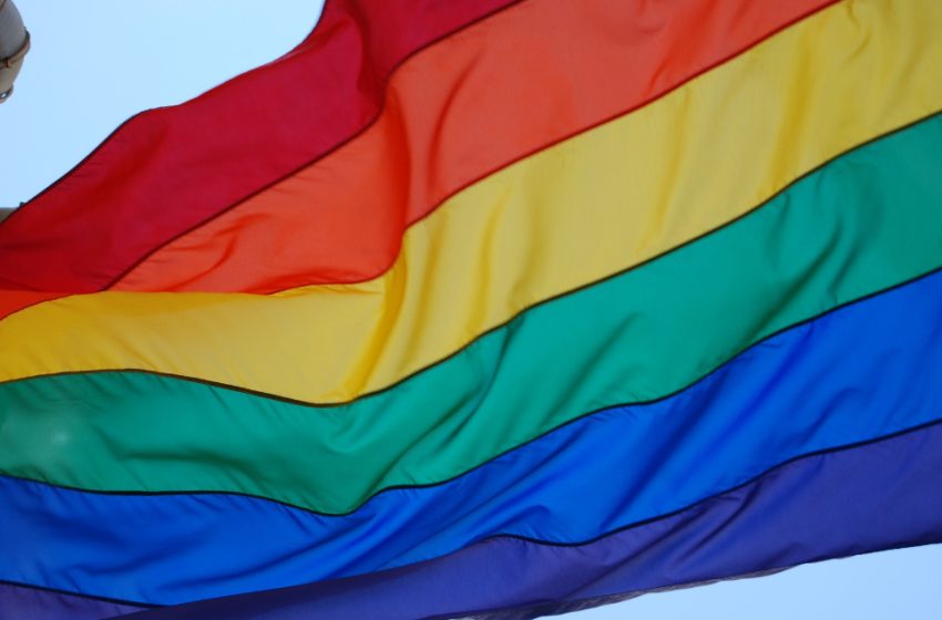  Senado aprobó proyecto de ley que defiende el matrimonio gay en EEUU