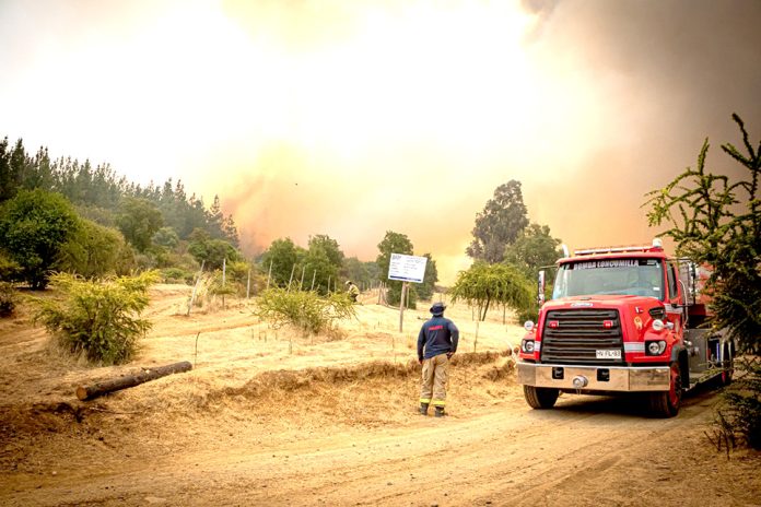  Cerca de 10 mil hectáreas arrasadas y tres viviendas destruidas dejan incendios forestales